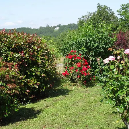 Calme Avec Piscine - L'echappee Belle Cavagnac