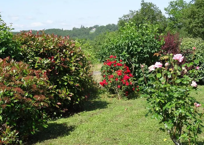 Calme Avec Piscine - L'echappee Belle Cavagnac
